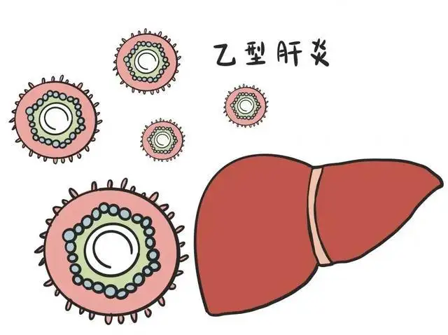 男朋友有乙肝接吻能傳染我嗎？